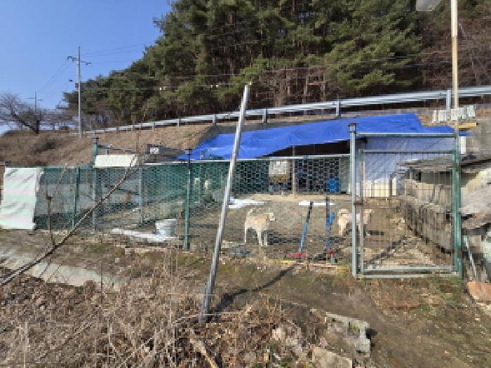 경상남도 합천군 가야면 황산리 산11-20 임야 경매 사진 77