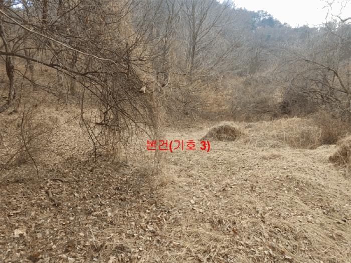 경상남도 합천군 야로면 나대리 107 답 경매 사진 12