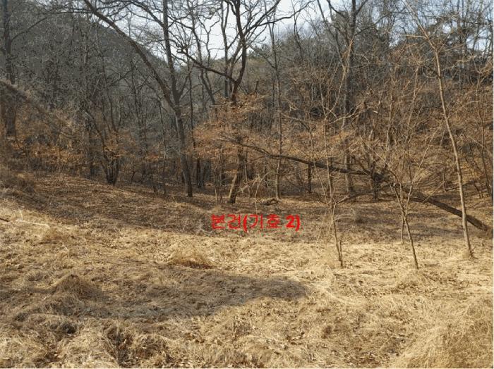 경상남도 합천군 야로면 나대리 107 답 경매 사진 16