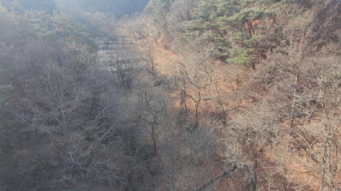 경상남도 합천군 야로면 나대리 107 답 경매 사진 23