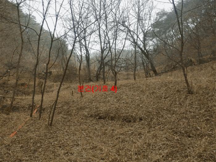 경상남도 합천군 야로면 나대리 107 답 경매 사진 3