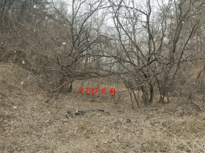 경상남도 합천군 야로면 나대리 107 답 경매 사진 8