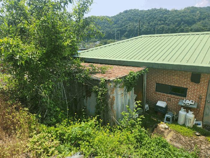 강원특별자치도 화천군 하남면 안평리 823 주택 경매 사진 3