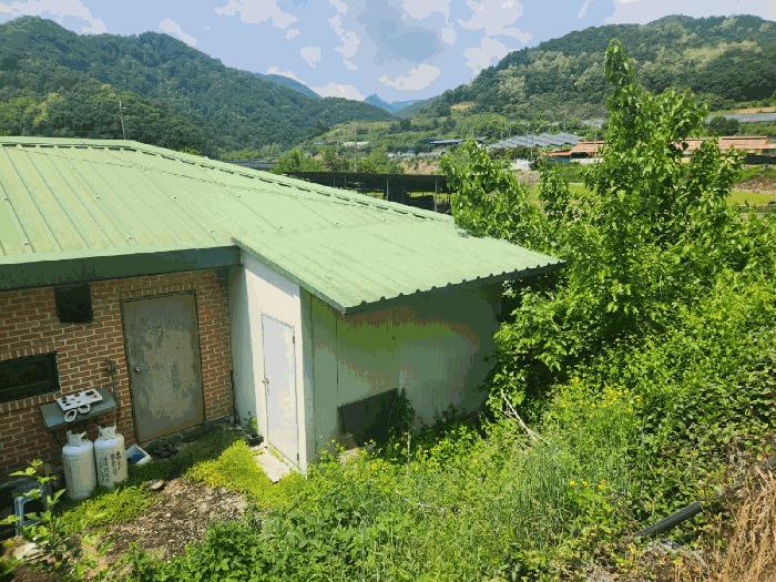 강원특별자치도 화천군 하남면 안평리 823 주택 경매 사진 6
