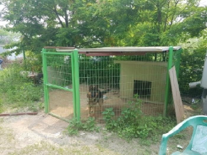강원특별자치도 춘천시 근화동 573-1 전 경매 사진 12