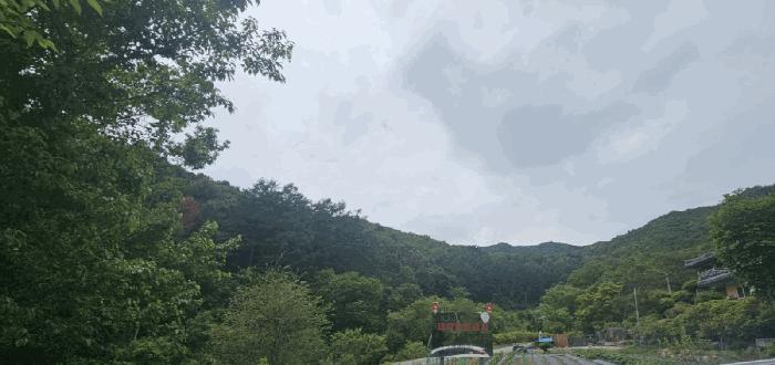 강원 춘천시 임야