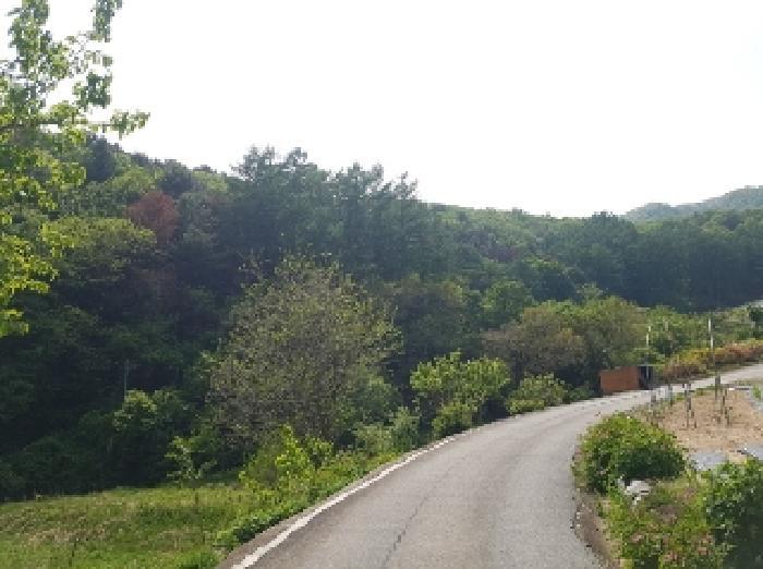 강원특별자치도 춘천시 남산면 창촌리 산156-6 임야 경매 사진 2