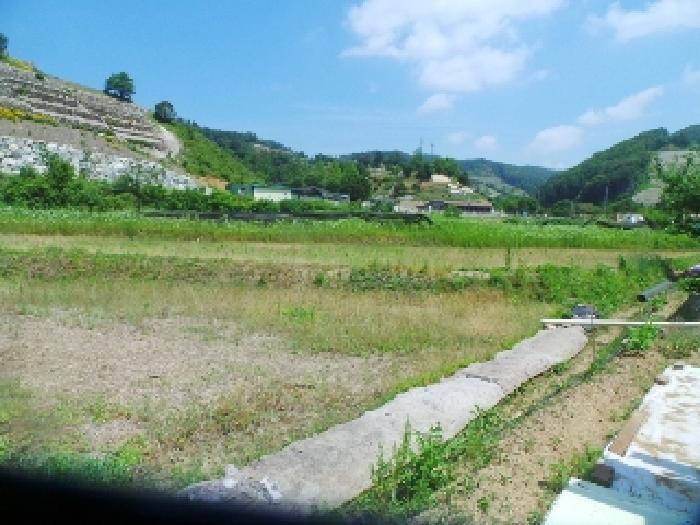 강원특별자치도 춘천시 서면 안보리 242-1 전 경매 사진 5