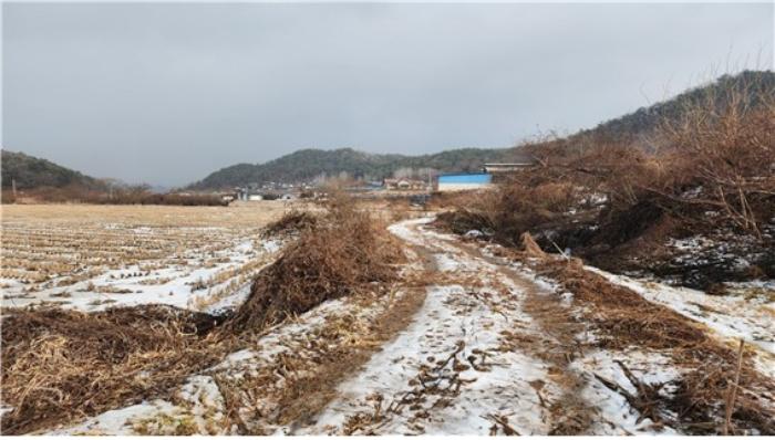 강원특별자치도 횡성군 공근면 오산리 353 답 경매 사진 2