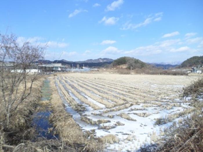강원특별자치도 횡성군 공근면 오산리 353 답 경매 사진 4