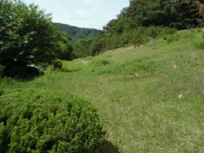전북특별자치도 무주군 부남면 가당리 442-2 전 경매 사진 23