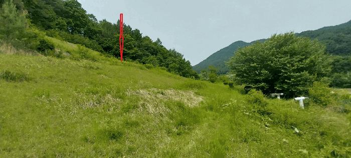 전북특별자치도 무주군 부남면 가당리 442-2 전 경매 사진 8