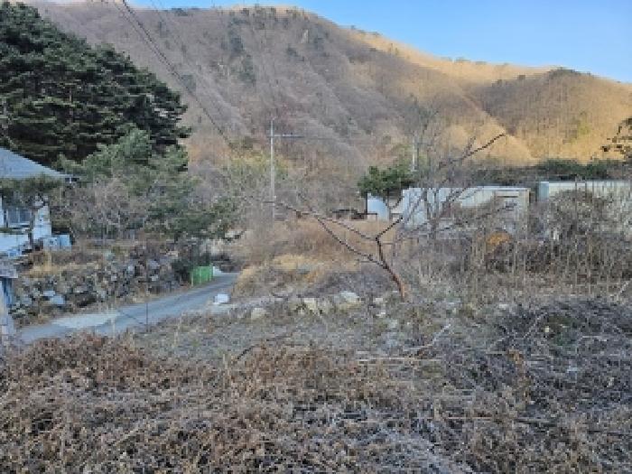 경상남도 산청군 시천면 내대리 250 답 경매 사진 10