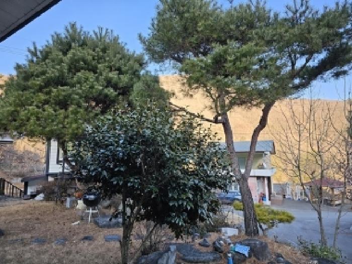 경상남도 산청군 시천면 내대리 250 답 경매 사진 16