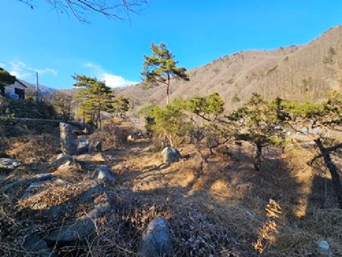 경상남도 산청군 시천면 내대리 264-10 근린주택 경매 사진 7