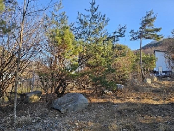 경상남도 산청군 시천면 내대리 301-5 대지 경매 사진 4