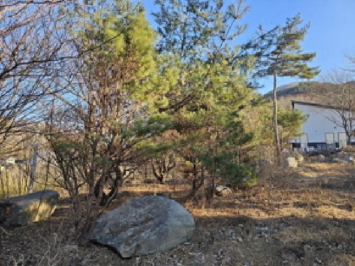 경상남도 산청군 시천면 내대리 301-5 대지 경매 사진 5