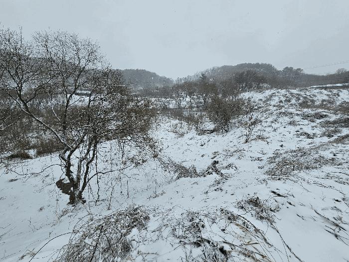 충청북도 음성군 음성읍 초천리 742 답 경매 사진 1