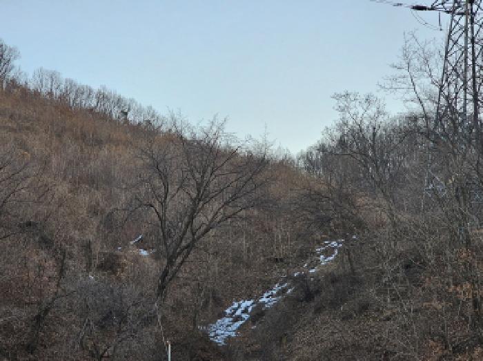 충청북도 음성군 음성읍 초천리 742 답 경매 사진 10