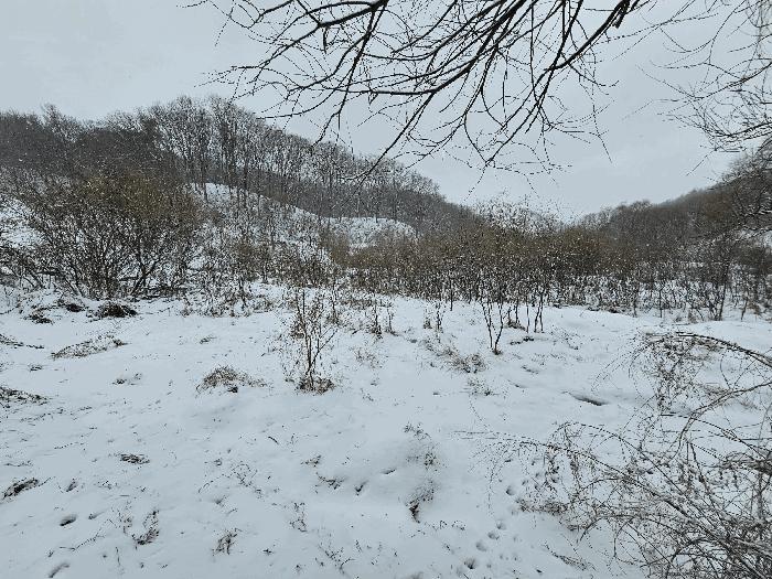 충청북도 음성군 음성읍 초천리 742 답 경매 사진 3
