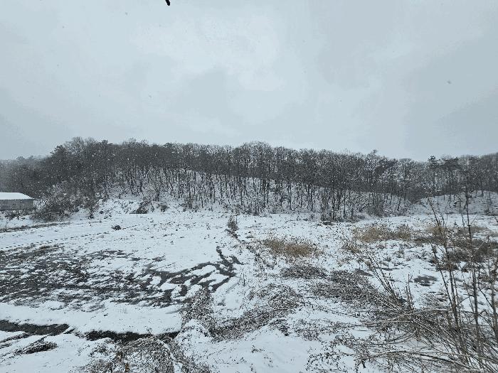 충청북도 음성군 음성읍 초천리 742 답 경매 사진 6