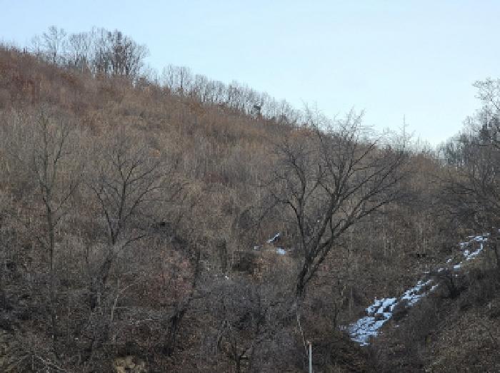 충청북도 음성군 음성읍 초천리 742 답 경매 사진 9