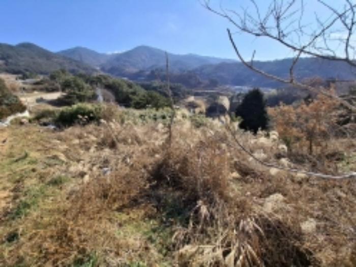경상남도 남해군 서면 노구리 917-2 전 경매 사진 2