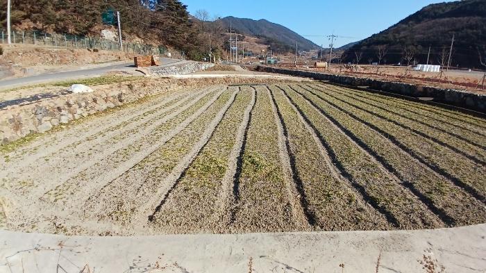 경상남도 남해군 서면 정포리 1077-31 답 경매 사진 2