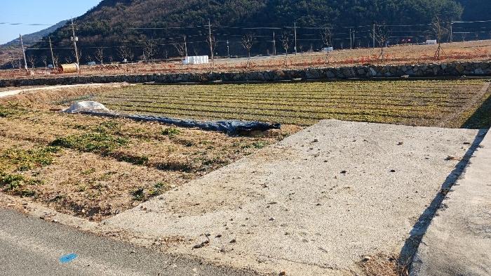 경상남도 남해군 서면 정포리 1077-31 답 경매 사진 3