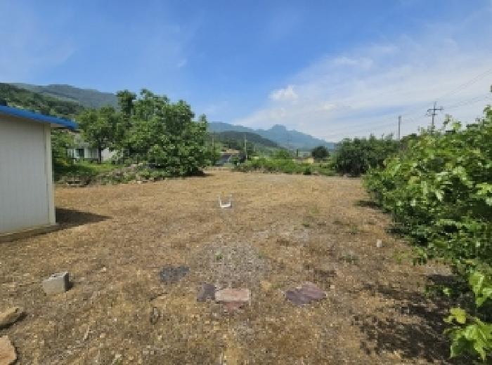 충청북도 단양군 적성면 하리 398 전 경매 사진 10