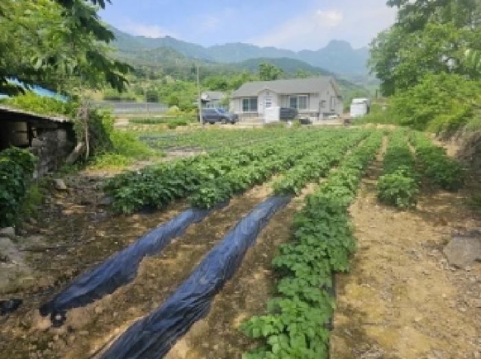 충청북도 단양군 적성면 하리 398 전 경매 사진 18