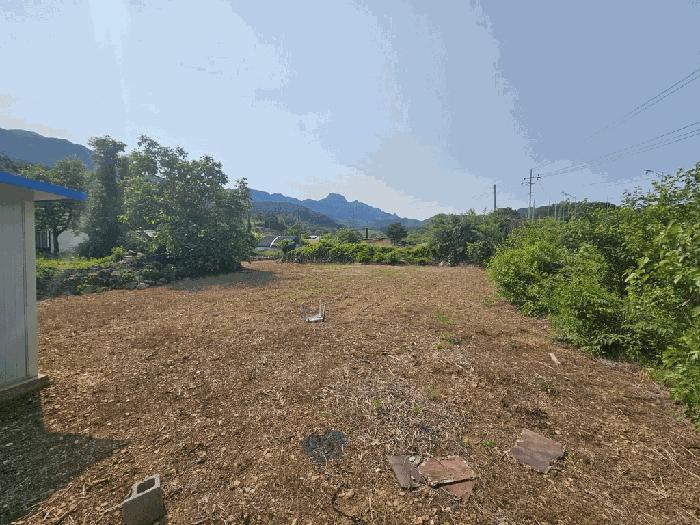 충청북도 단양군 적성면 하리 398 전 경매 사진 2