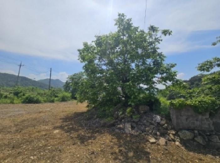 충청북도 단양군 적성면 하리 398 전 경매 사진 21