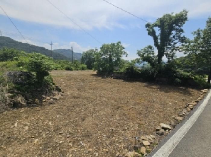 충청북도 단양군 적성면 하리 398 전 경매 사진 6