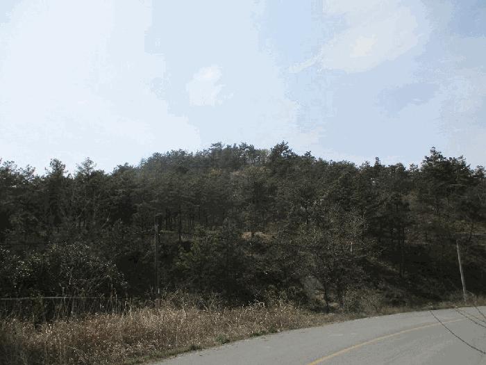 전라남도 무안군 일로읍 의산리 산102 임야 경매 사진 4