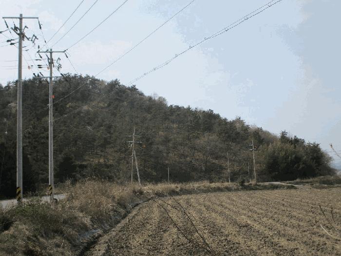 전라남도 무안군 일로읍 의산리 산102 임야 경매 사진 6