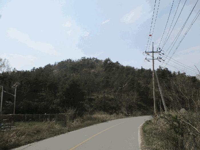 전라남도 무안군 일로읍 의산리 산102 임야 경매 사진 8