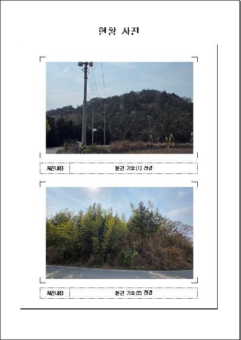 전라남도 무안군 일로읍 의산리 산102 임야 경매 사진 9