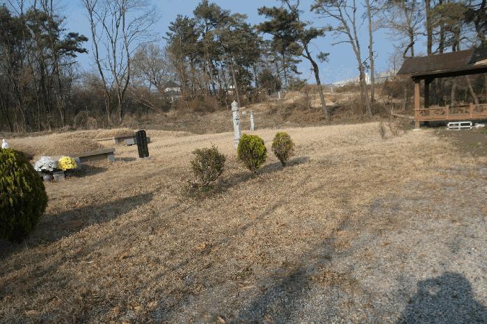 충청남도 논산시 연무읍 동산리 212-1 전 경매 사진 3