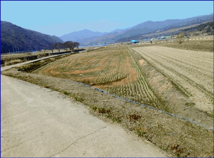 충청남도 부여군 외산면 복덕리 362-15 답 경매 사진 1