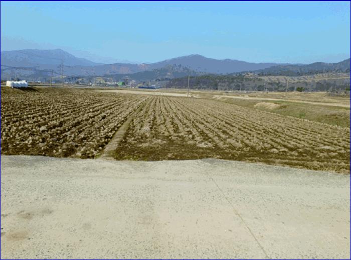 충청남도 부여군 외산면 복덕리 362-15 답 경매 사진 2