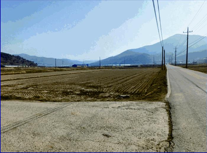 충청남도 부여군 외산면 복덕리 362-15 답 경매 사진 3