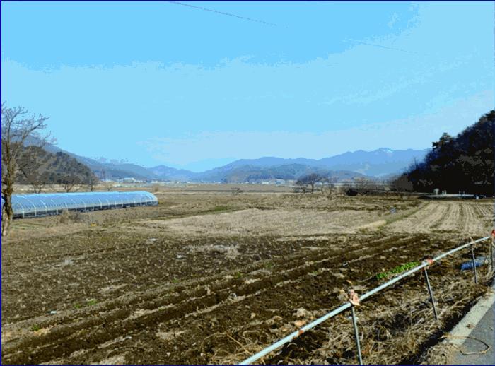 충청남도 부여군 외산면 복덕리 362-15 답 경매 사진 4