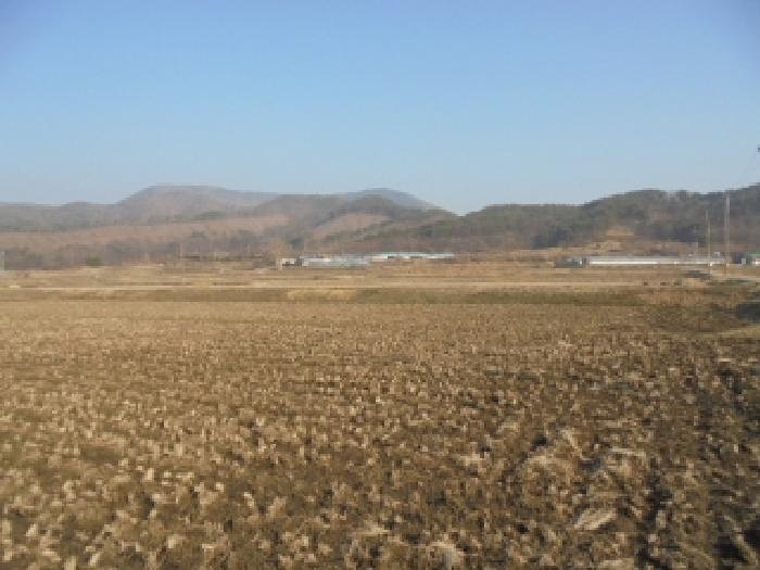 충청남도 부여군 외산면 복덕리 362-15 답 경매 사진 5