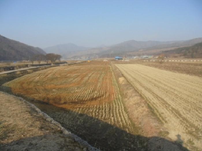 충청남도 부여군 외산면 복덕리 362-15 답 경매 사진 6