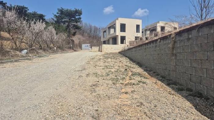 충청남도 천안시 동남구 풍세면 풍서리 162-1 임야 경매 사진 17