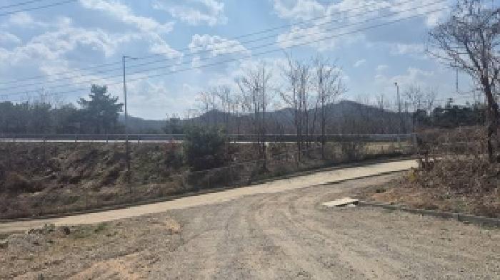 충청남도 천안시 동남구 풍세면 풍서리 162-1 임야 경매 사진 18