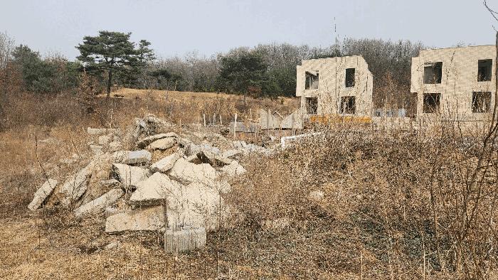 충청남도 천안시 동남구 풍세면 풍서리 162-1 임야 경매 사진 8