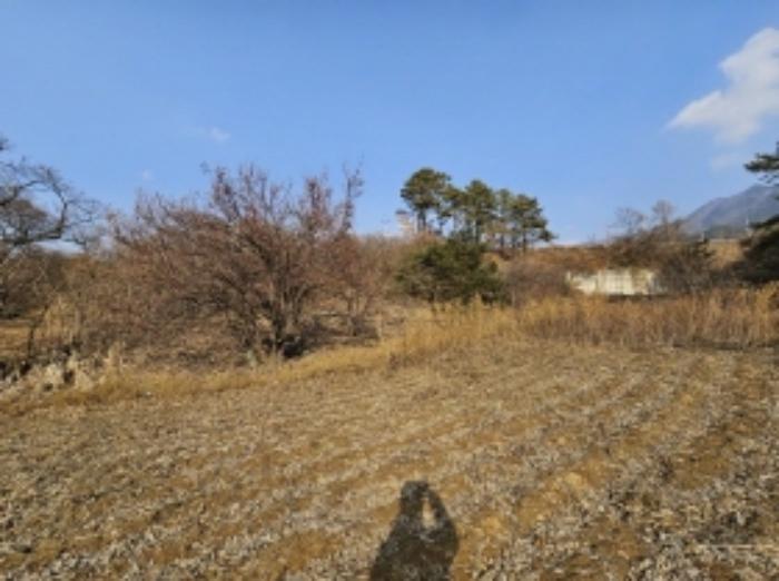 전라남도 구례군 산동면 좌사리 408-2 답 경매 사진 25