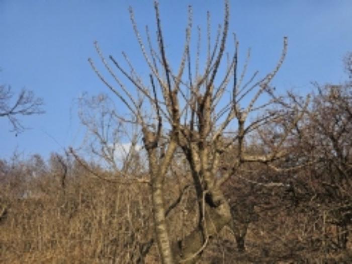 전라남도 구례군 산동면 좌사리 408-2 답 경매 사진 29